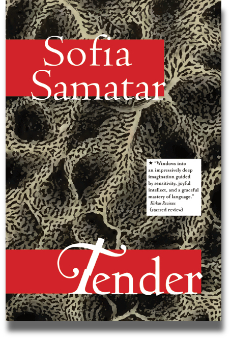 tender-stories-cover2.jpg